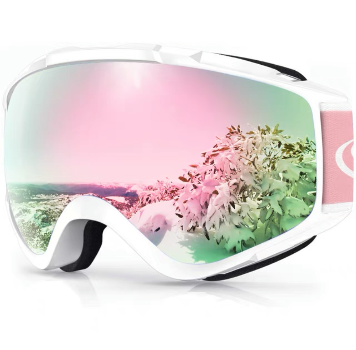 Findway Ski Goggles – Loft Group Lifestyle Company Limited