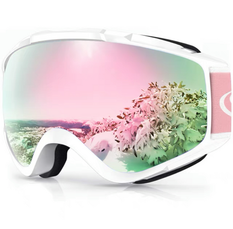 Findway Ski Goggles – Loft Group Lifestyle Company Limited